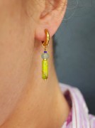 Lime (3).JPG