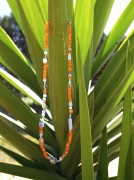 Orange Blue 2.JPG