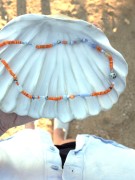 Orange Blue 8.JPG